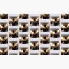 flat750x075f pad750x750f8f8f8.u4 15 - Life Is Strange Merch